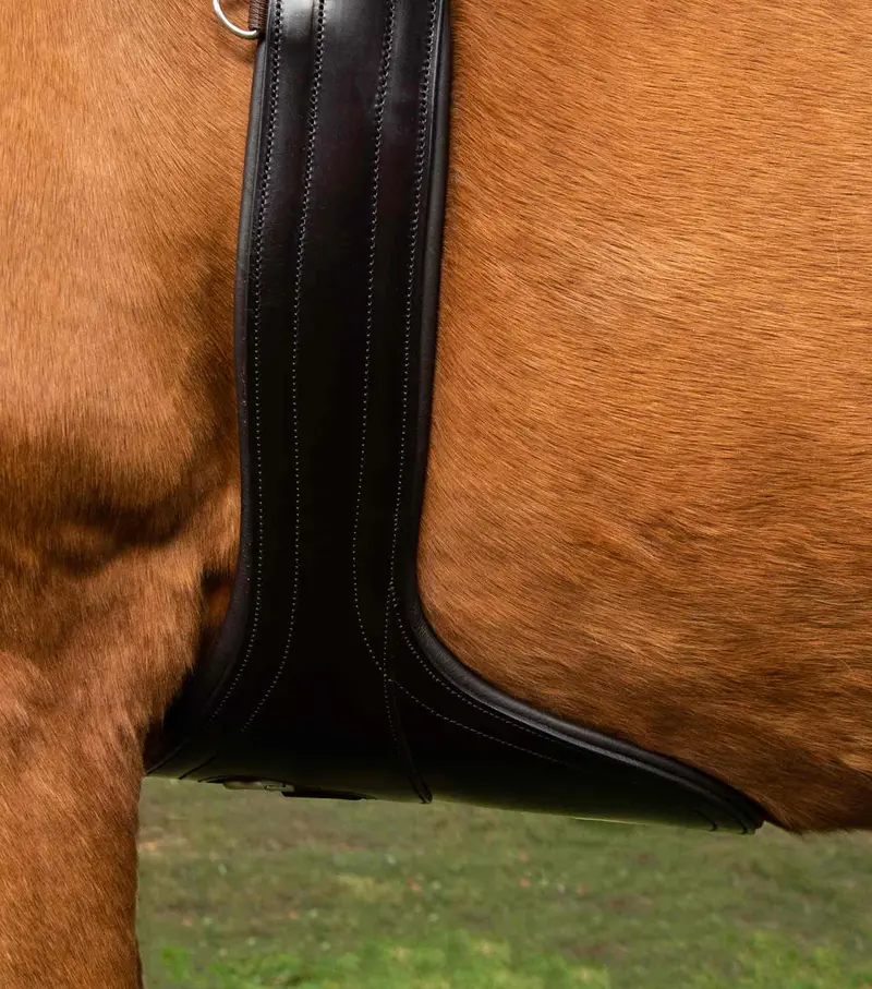 Lizzano Anatomic Leather Stud Girth Brown 2