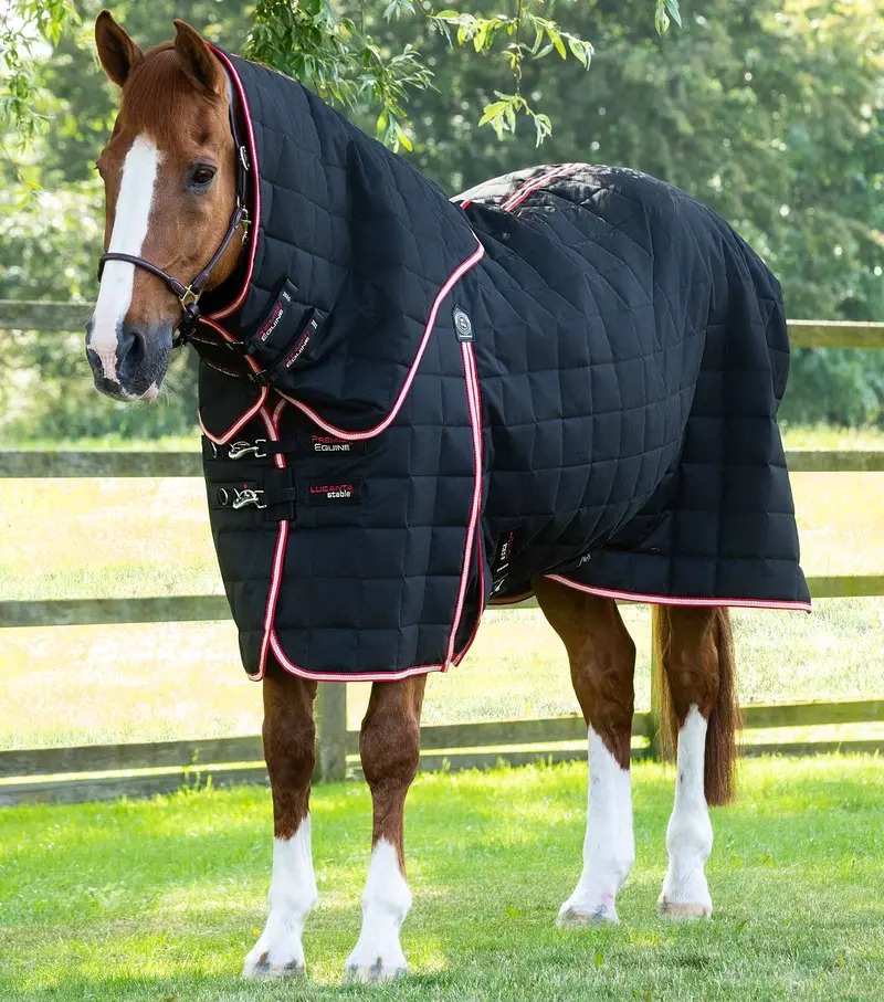 Lucanta 200G Stable Rug With Neck Cover Black 1