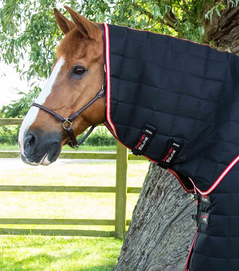 Lucanta 200G Stable Rug With Neck Cover Black 2