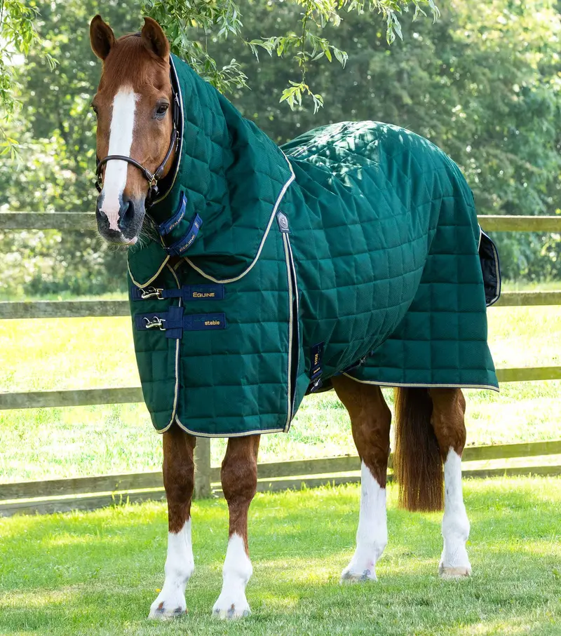Lucanta 200G Stable Rug With Neck Cover Green 1
