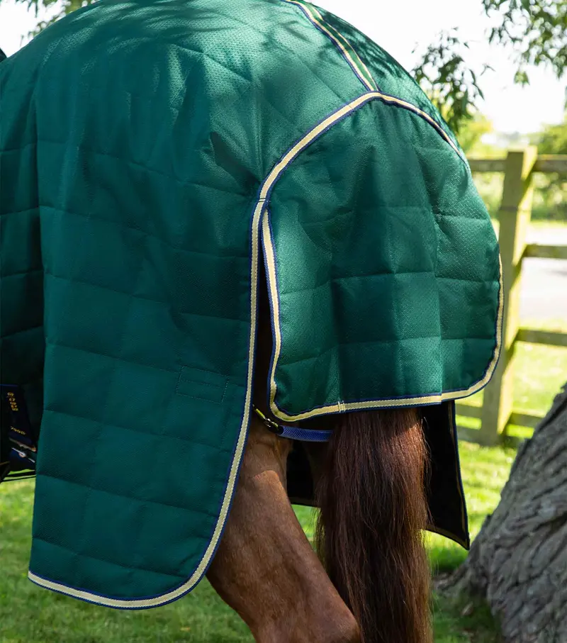Lucanta 200G Stable Rug With Neck Cover Green 5