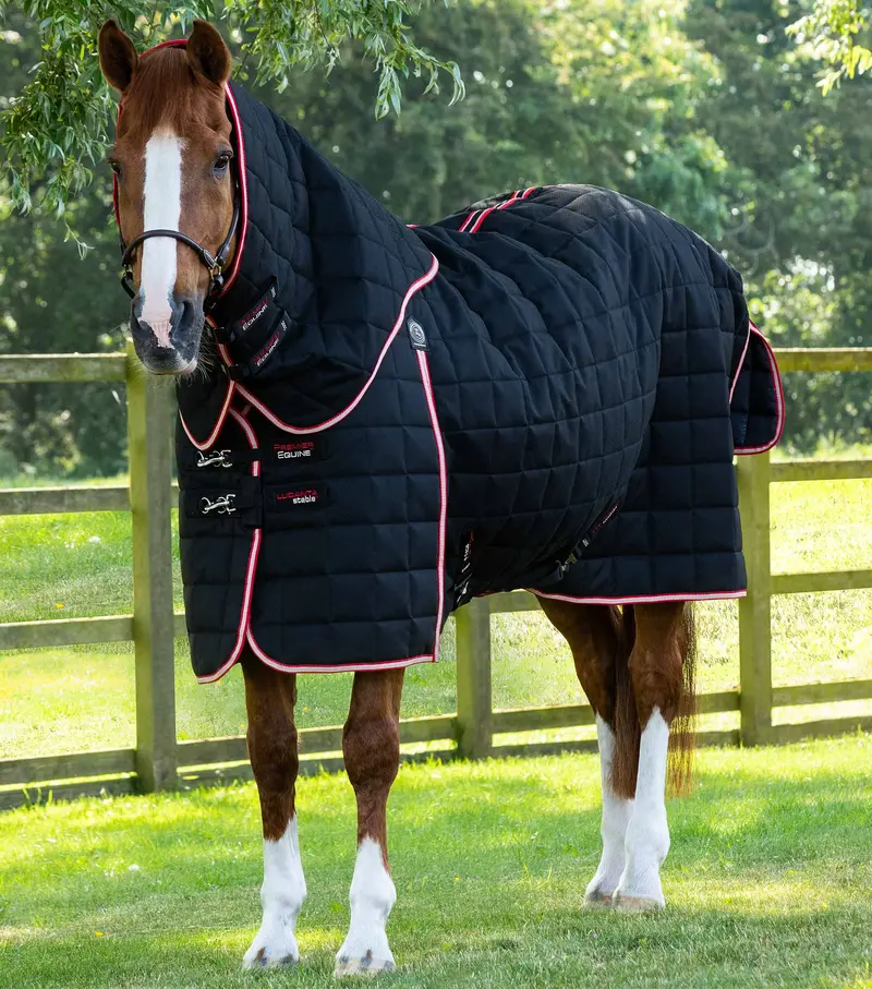 Lucanta 450G Stable Rug With Neck Cover Black 1