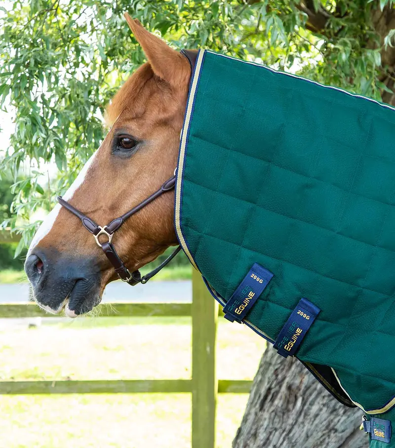 Lucanta Stable 200G Neck Cover (200G Fill) 1