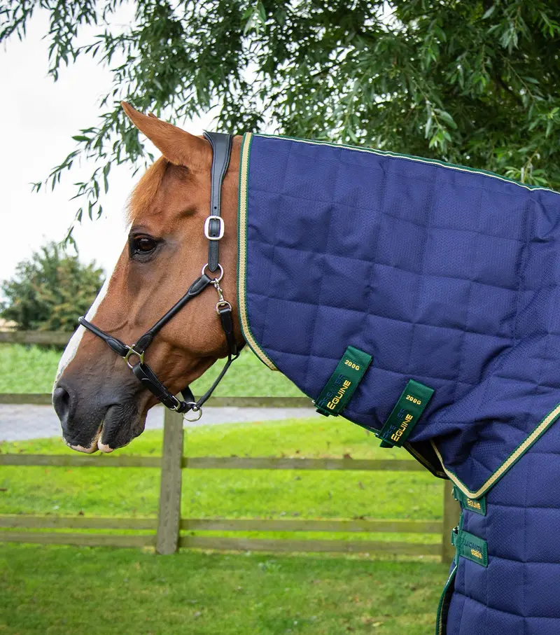 Lucanta Stable 450G Neck Cover (200G Fill) 1