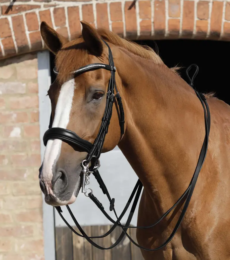 Luigi Plain Leather Reins Black 2