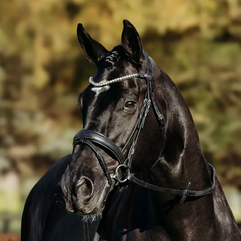 Lumiere Abigail Leather Bridle (Convertible) 1