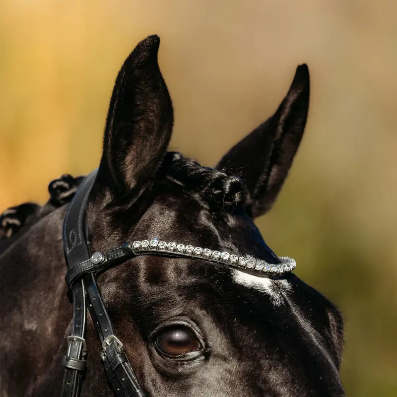Lumiere Abigail Leather Bridle (Convertible) 2