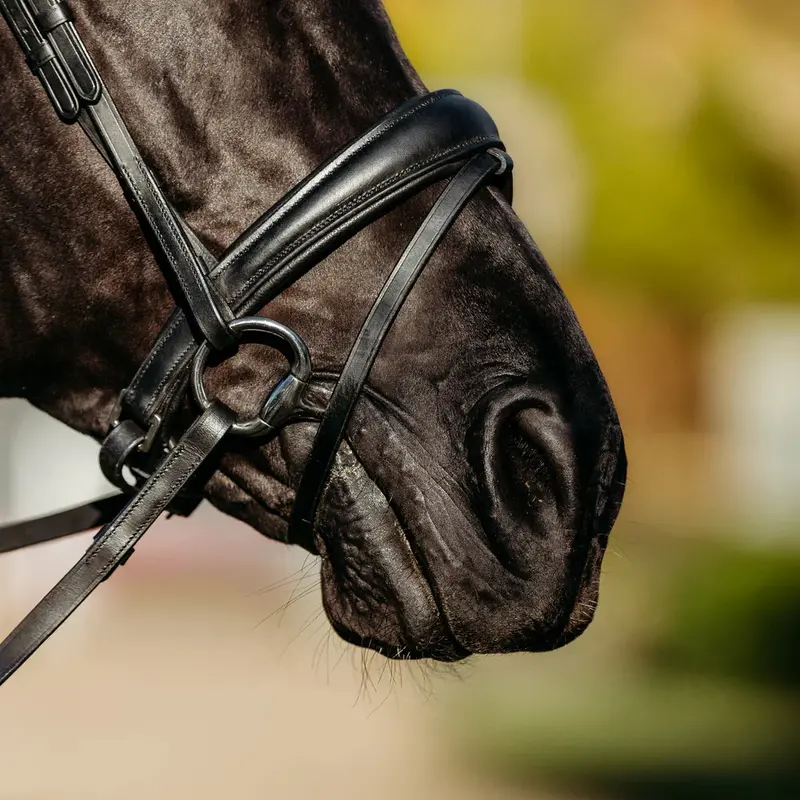 Lumiere Abigail Leather Bridle (Convertible) 3