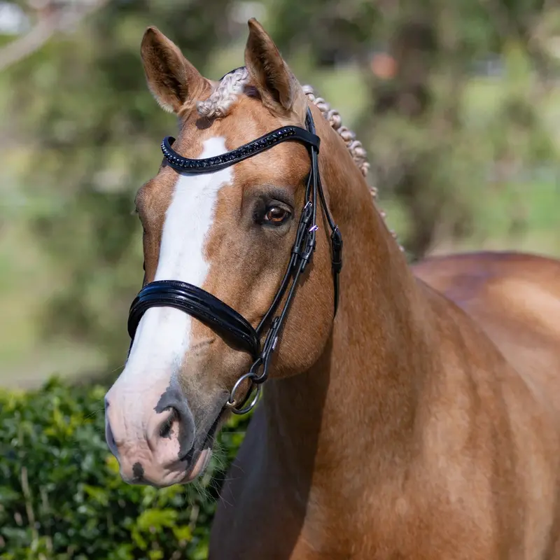 Lumiere Arcadia Luxury Leather Bridle 1