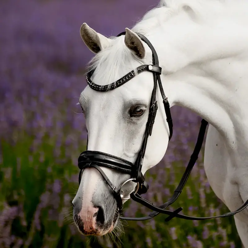 Lumiere Arcadia Luxury Leather Bridle Hanovarian 1