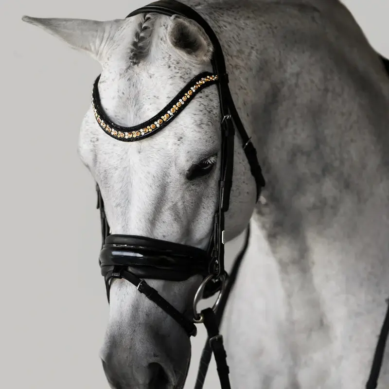 Lumiere Ariana Bridle Hanoverian 1