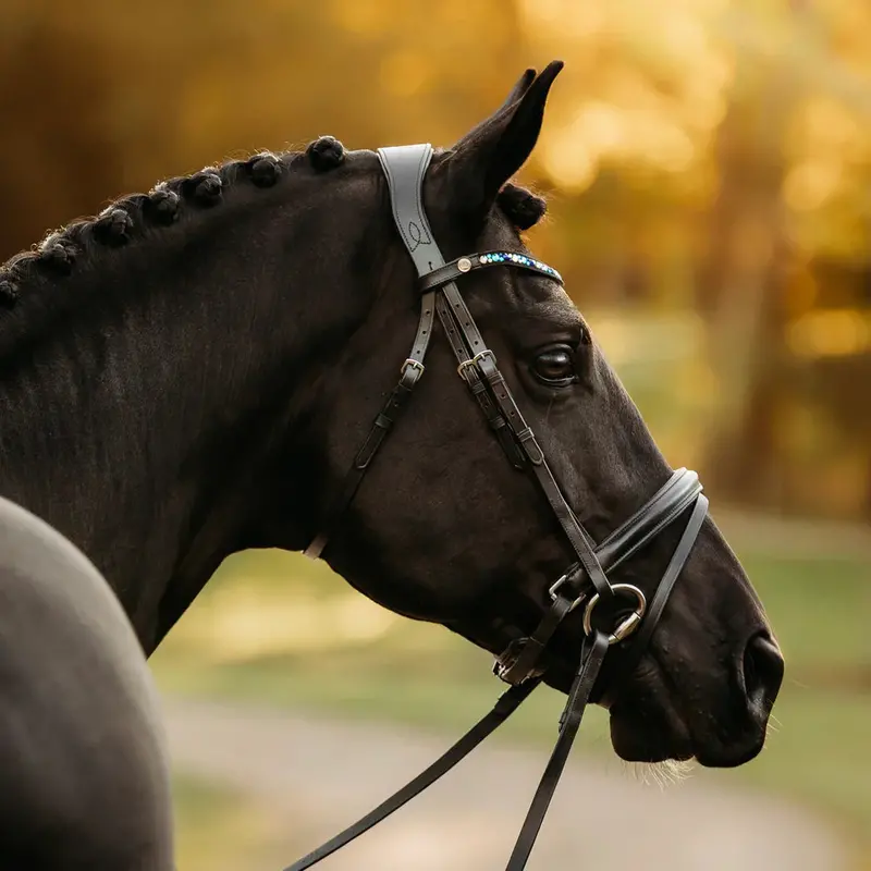 Lumiere Demi Bridle 1