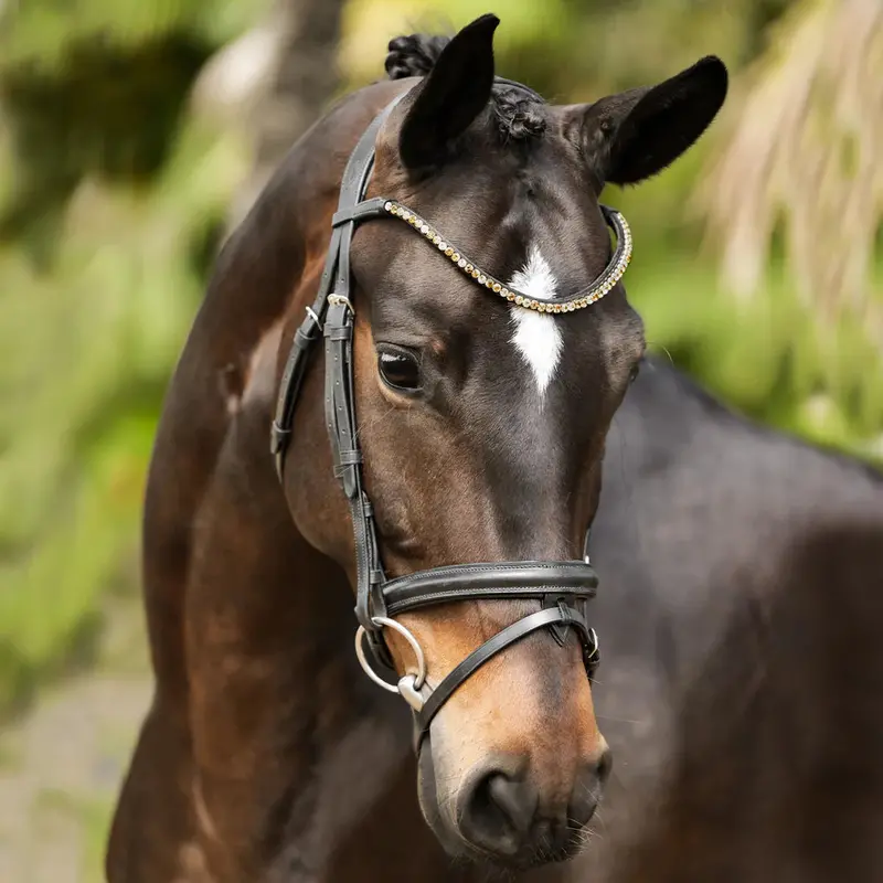 Lumiere Megan Convertible Leather Bridle 1