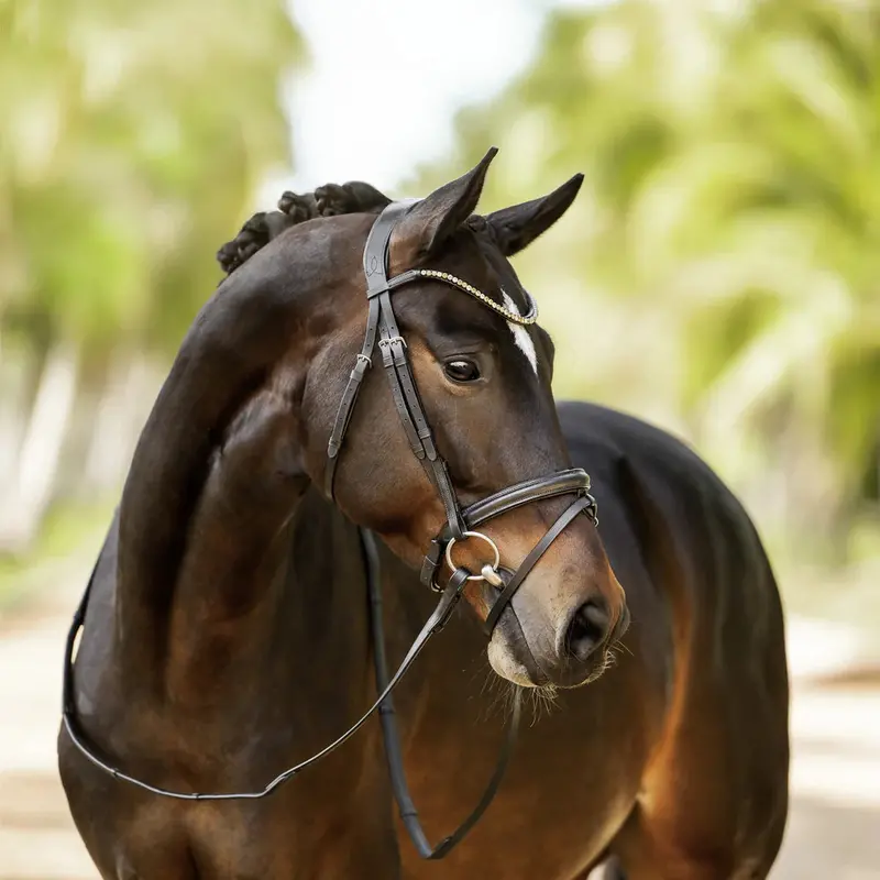 Lumiere Megan Convertible Leather Bridle 2