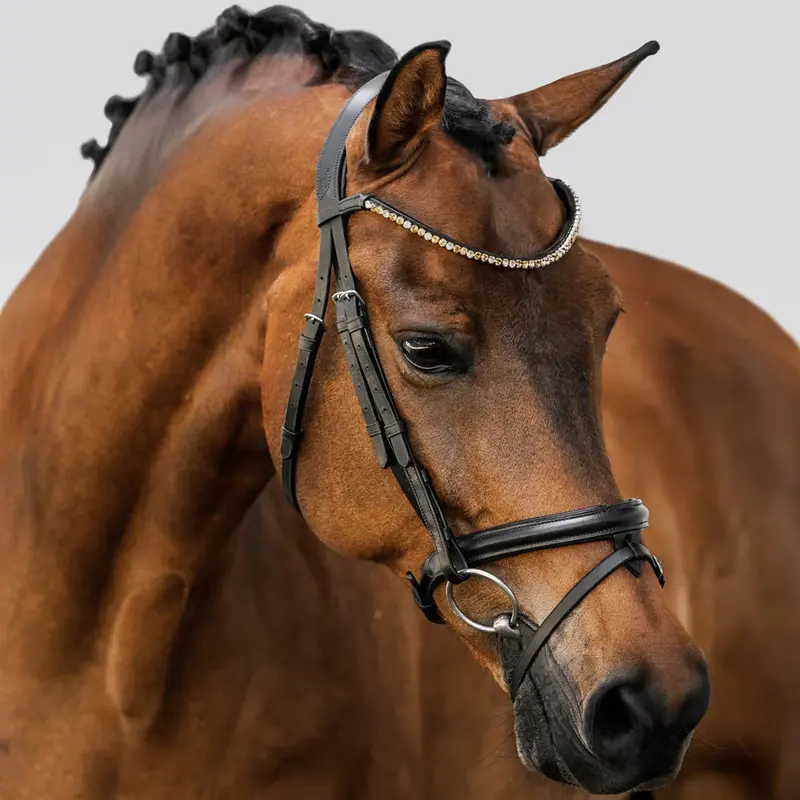 Lumiere Megan Convertible Leather Bridle 3