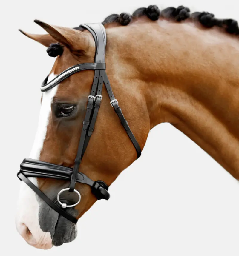Lumiere Melodie Classic Bridle 1