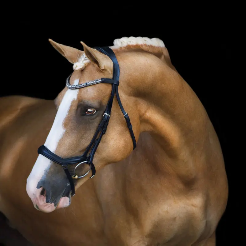 Lumiere Mila Anatomic Leather Bridle 1