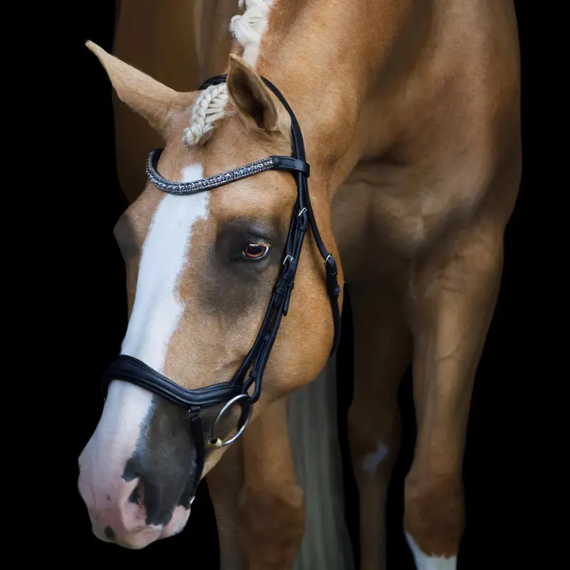 Lumiere Mila Anatomic Leather Bridle 2