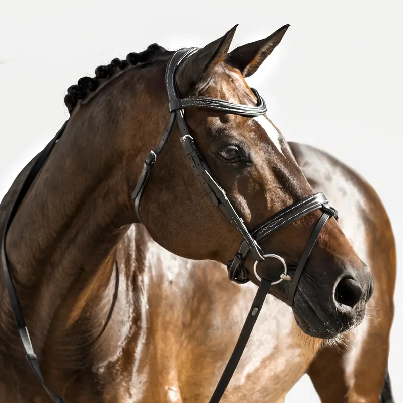 Lumiere Milan Leather Bridle 1
