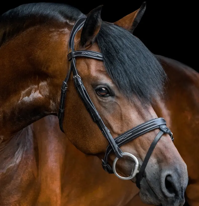 Lumiere Milan Leather Bridle 2