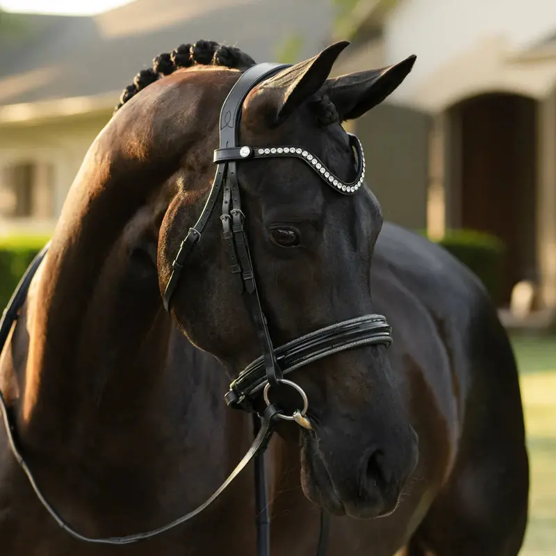 Lumiere Saphira Bridle 1