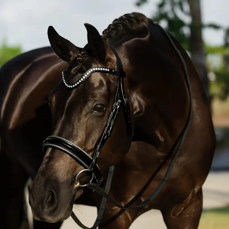 Lumiere Saphira Bridle 2
