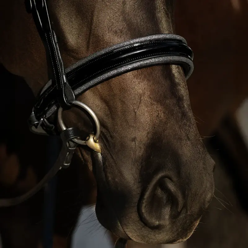 Lumiere Saphira Bridle 3