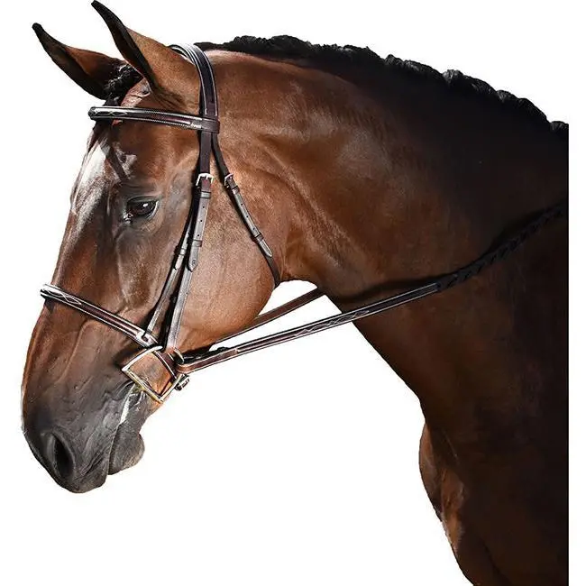 M. Toulouse Chocolate Annice Hunter Bridle 1