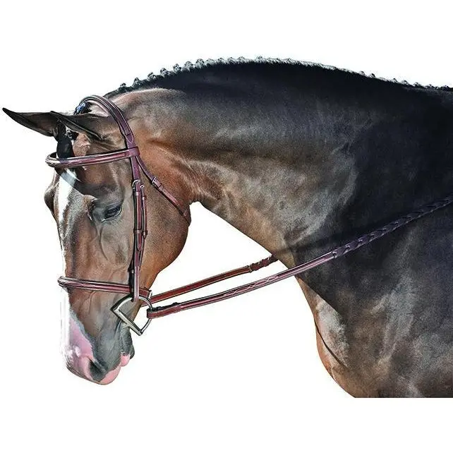 M. Toulouse Chocolate Novice Hunter Bridle 1