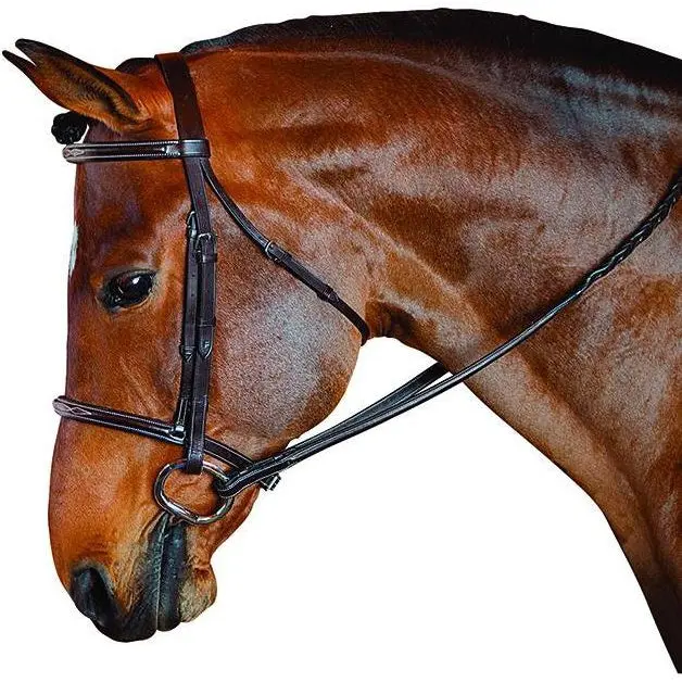 M. Toulouse Standard Hunter Bridle 1