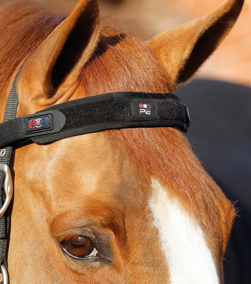 Magni-Teque Magnetic Browband 1