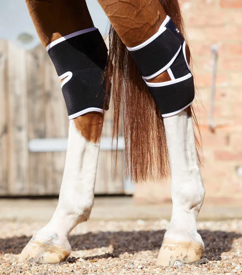 Magni-Teque Magnetic Hock Boots 1