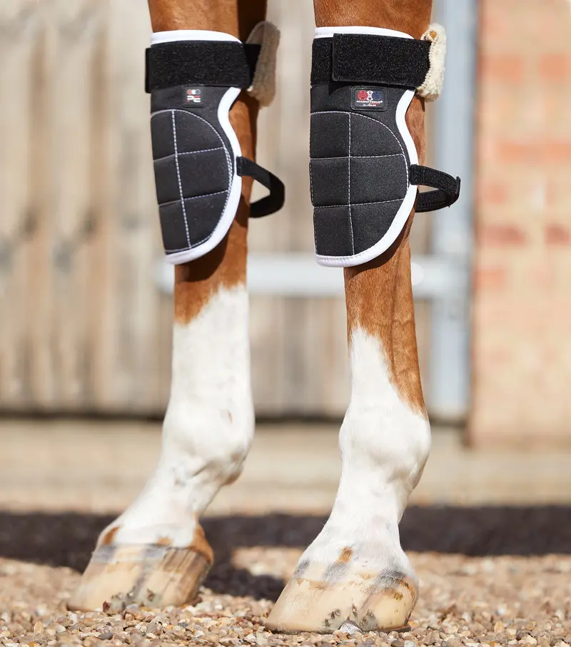 Magni-Teque Magnetic Horse Knee Boots 1