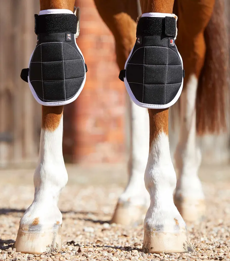 Magni-Teque Magnetic Horse Knee Boots 2