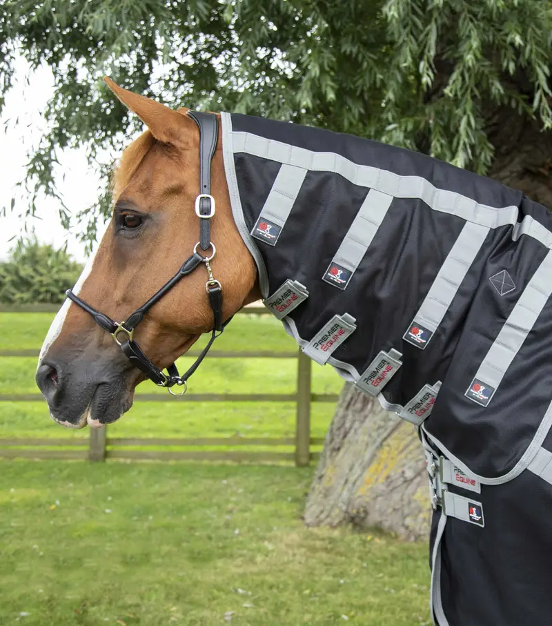 Magni-Teque Magnetic Horse Rug With Neck Cover 2
