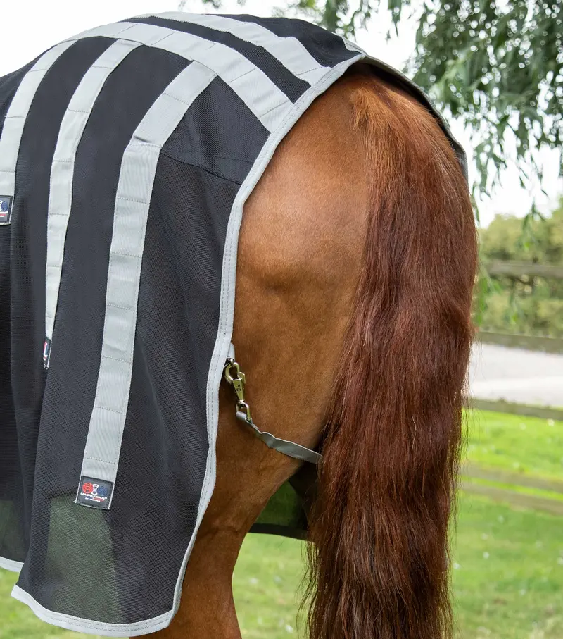 Magni-Teque Magnetic Horse Rug With Neck Cover 5