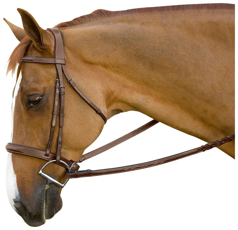 Marcel Toulouse Brunello Handy Hunter Bridle 1