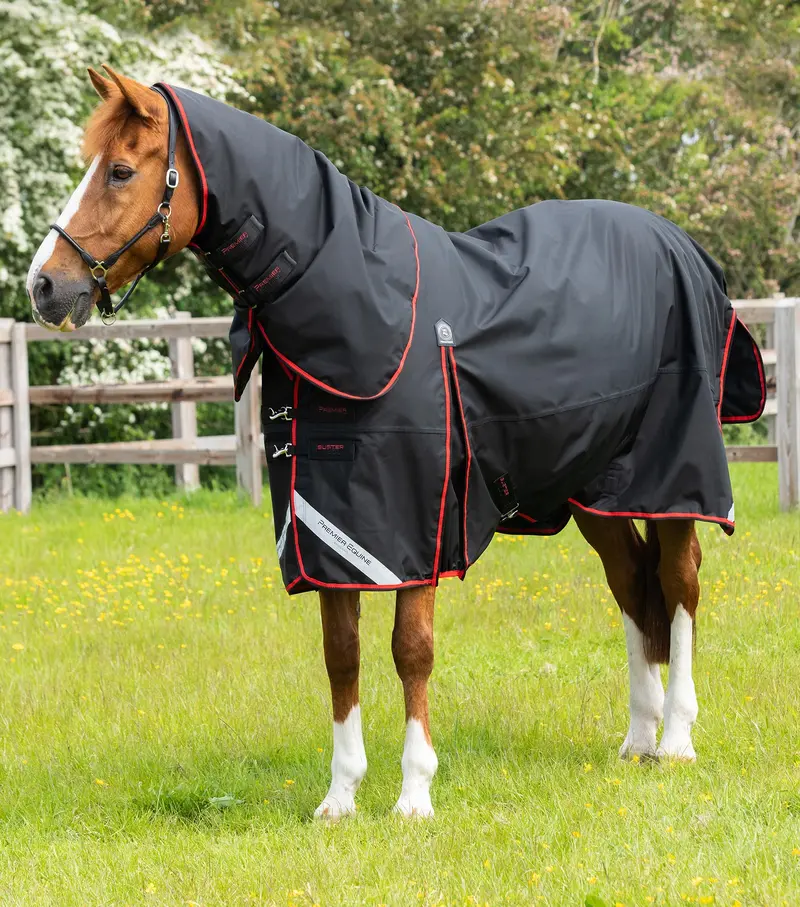 Marked - Buster 250G Turnout Rug With Classic Neck Cover Black 1