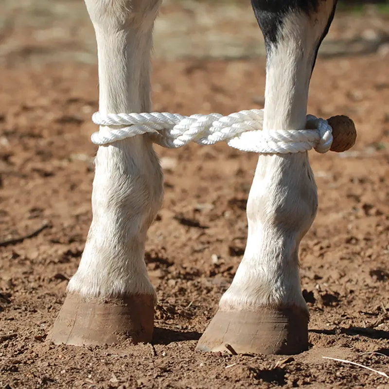 Martin Rope Hobbles 1