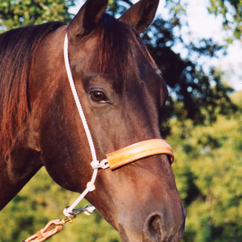 Martin Saddlery Leather Nose Headsetter Tiedown 1