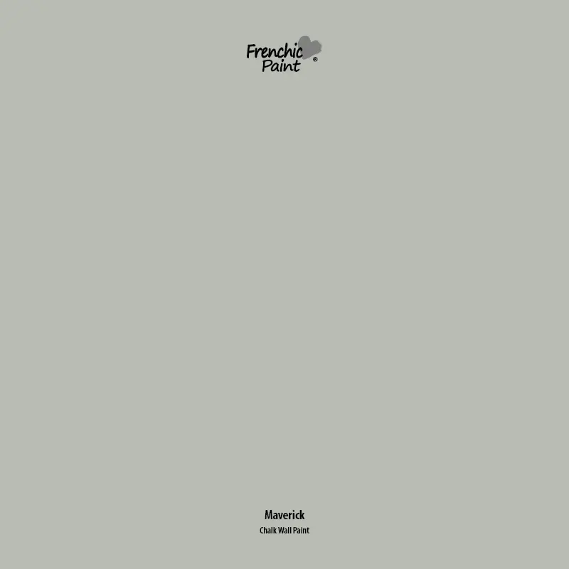 Maverick - Peel & Stick Paint Sample 1