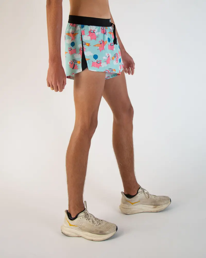 Men's Flying Pigs 2" Ds Split Shorts 3