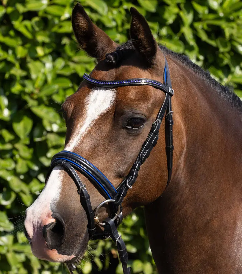 Mineo Pony Snaffle Bridle Black 1