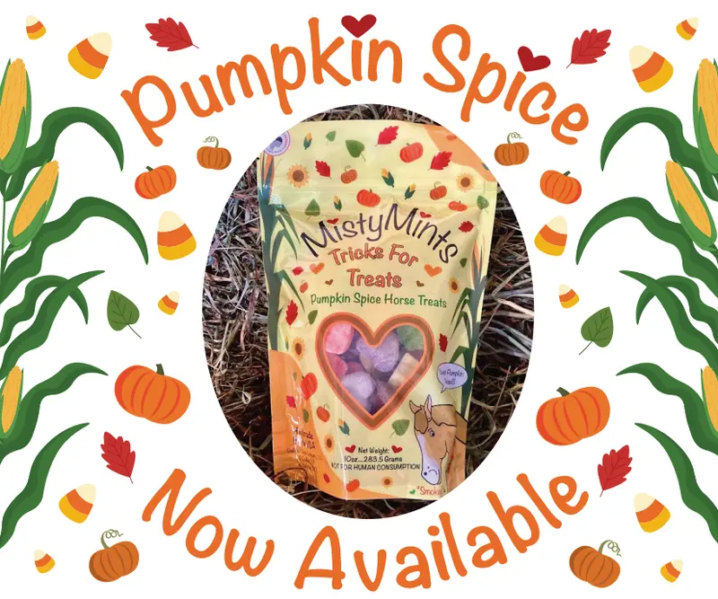 Misty Mints Horse Treats 3
