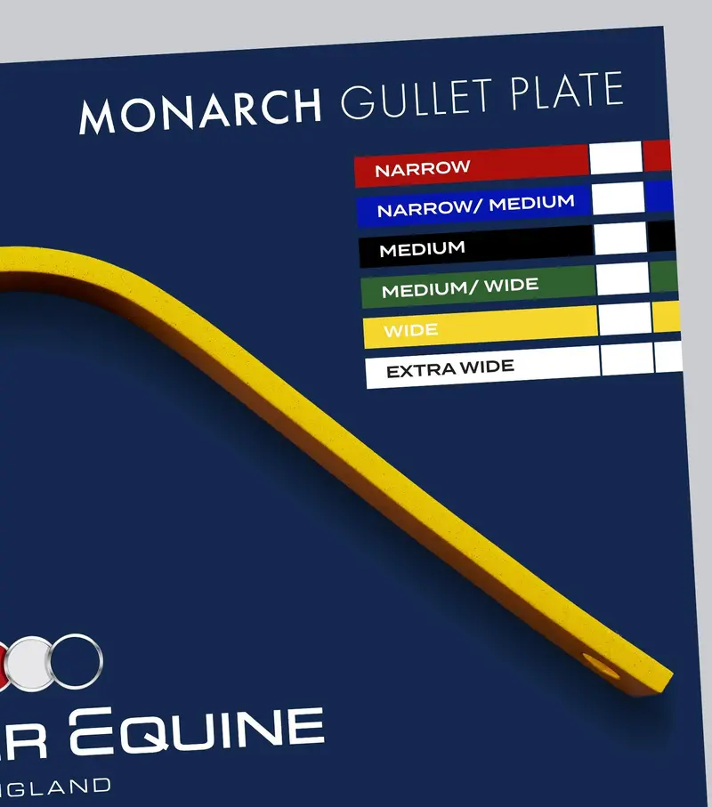 Monarch Gullet Plate 4