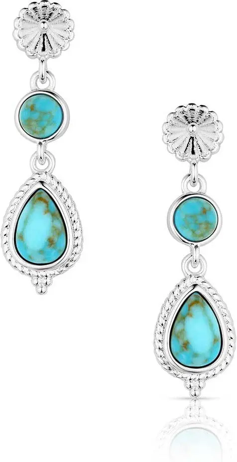 Montana Silversmiths Desert Bloom Earrings 1