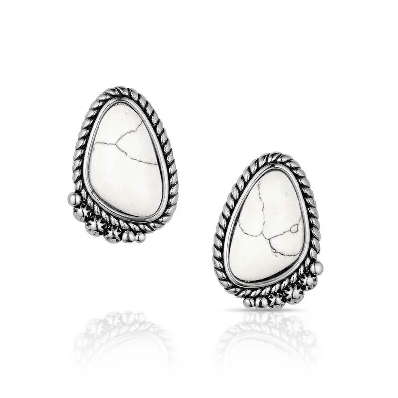 Montana Silversmiths Stargazer Earrings 1