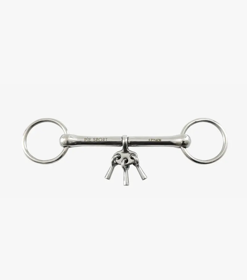 Mouthing Bit With Keys 1