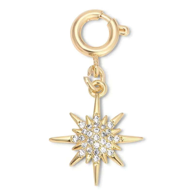 My Fun Colors Charismatic Bridle Charm 2