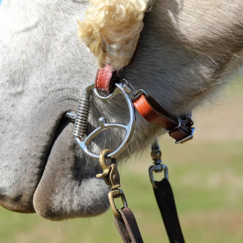 Myler Stainless Steel Western Dee Bit With Hooks And Low Port Snaffle 2